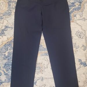 Everlane Women's Navy Straight Dress Pants